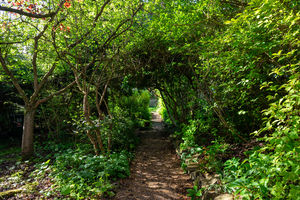 Knowle Lane Ecclesall